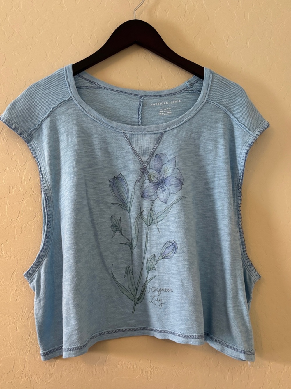 American Eagle Outfitters Pale Blue Floral Crop Tank